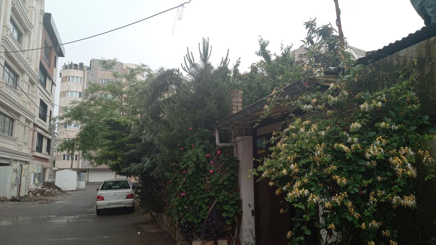 تصویر املاک 13135