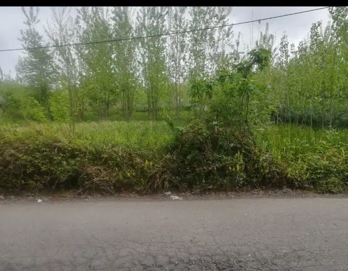 تصویر املاک 44956