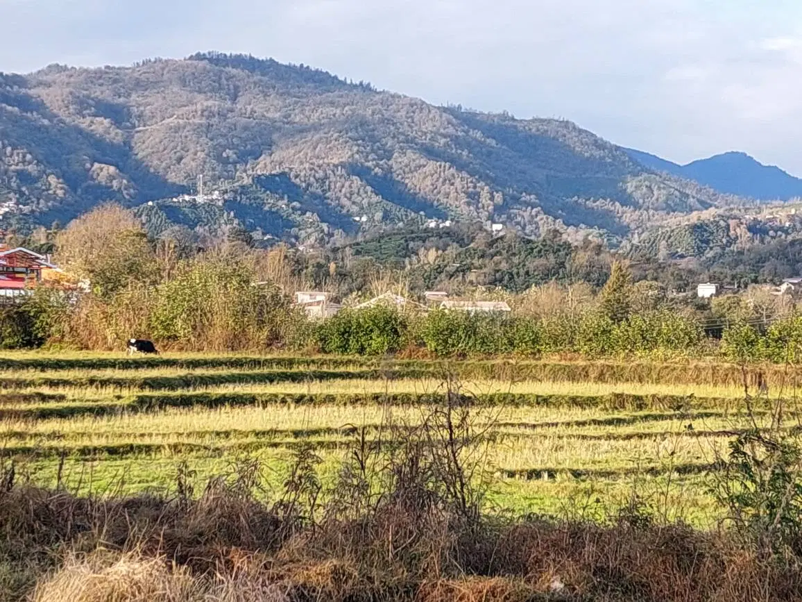 تصویر املاک 118898