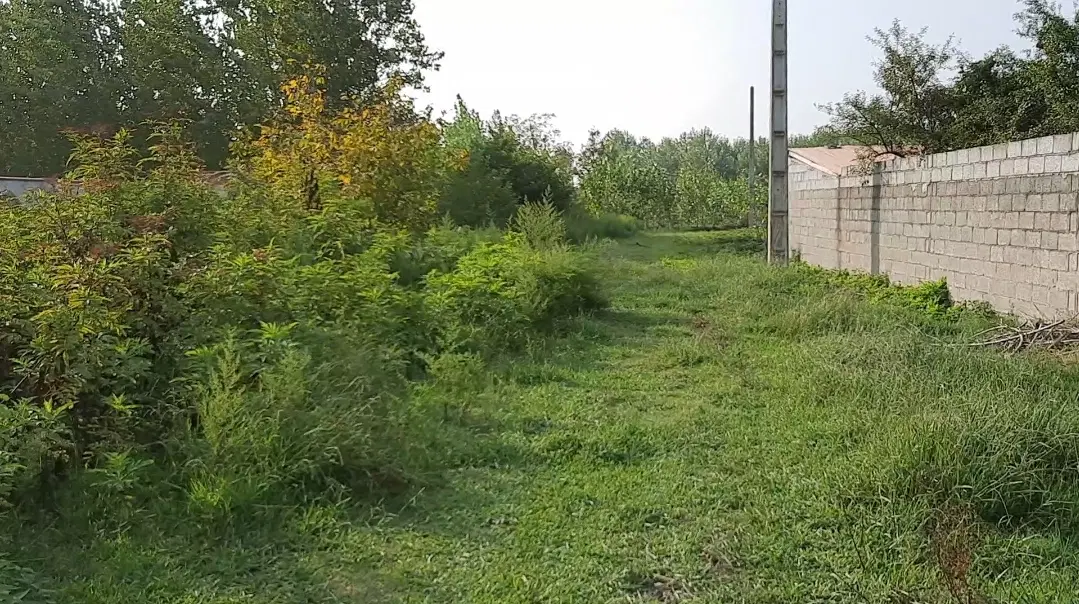 تصویر املاک 134708