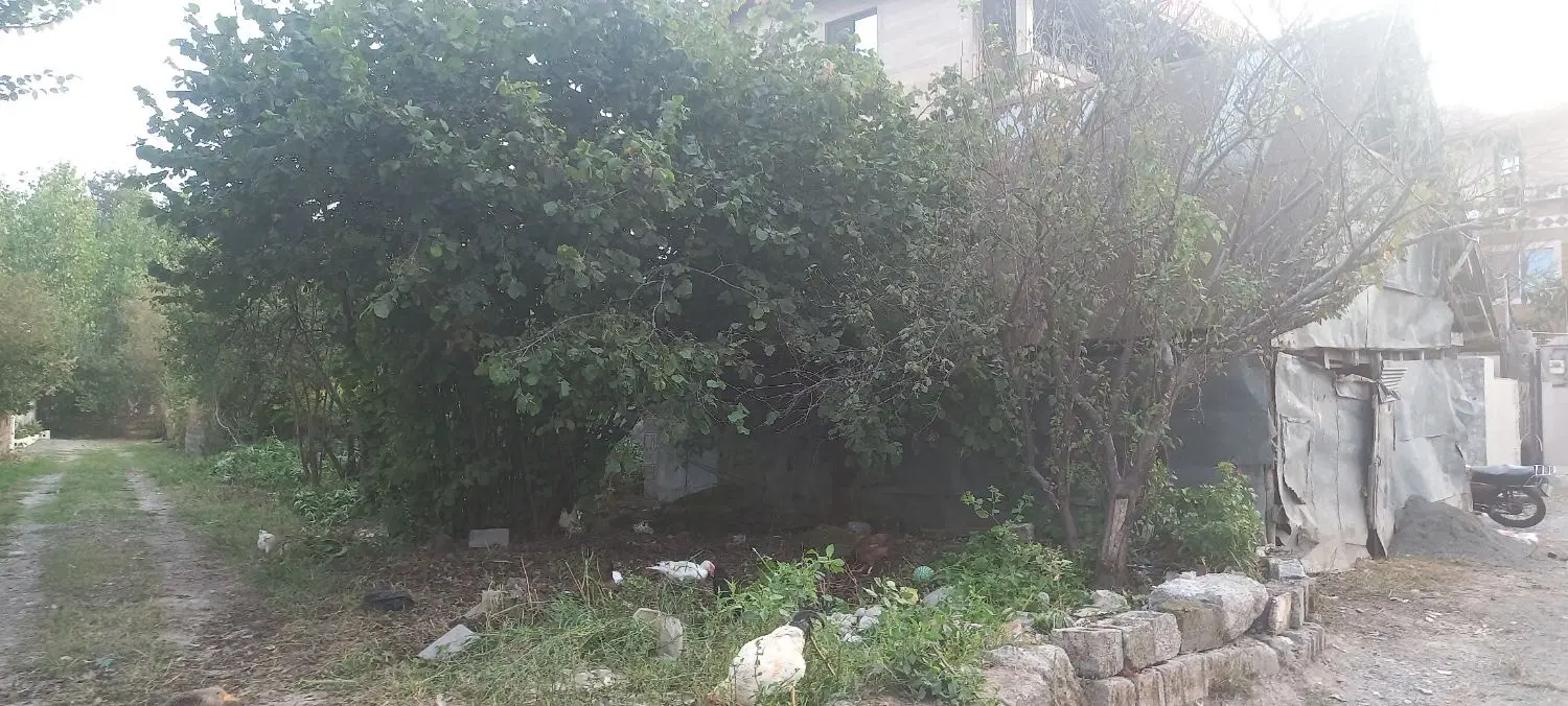تصویر املاک 116984