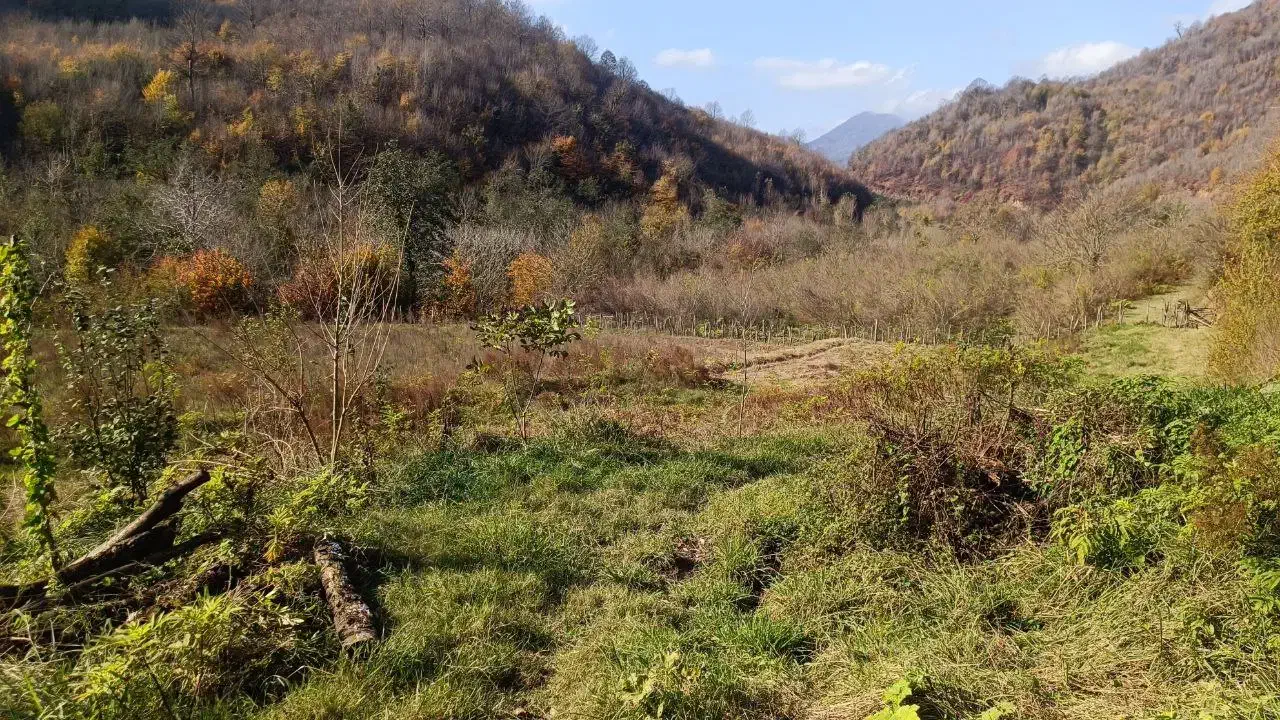 تصویر املاک 4900