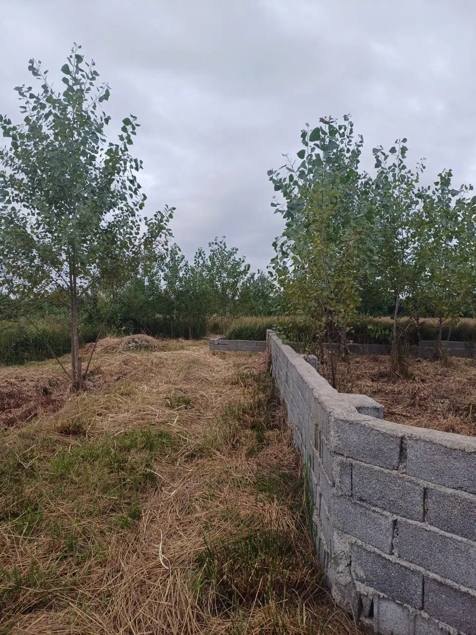 تصویر املاک 127082