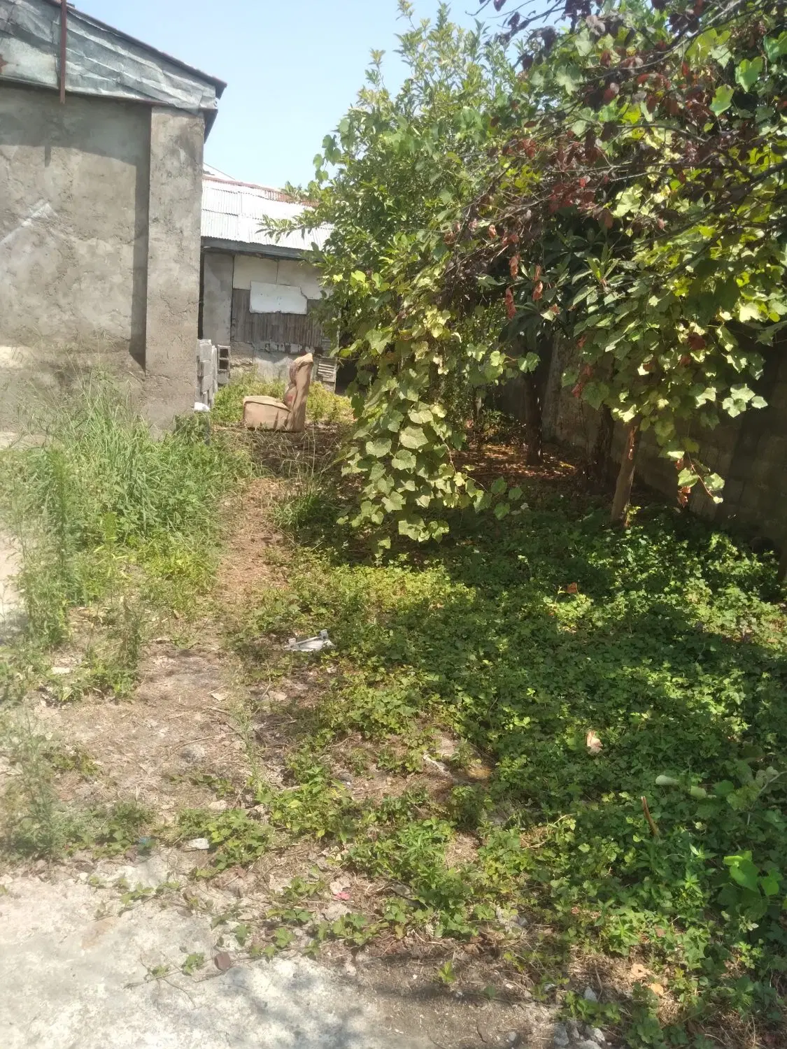تصویر املاک 101709