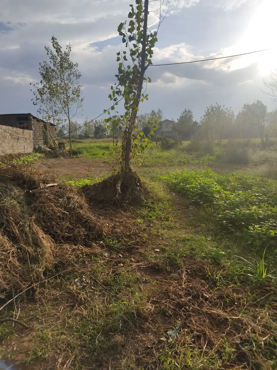 تصویر املاک 135781