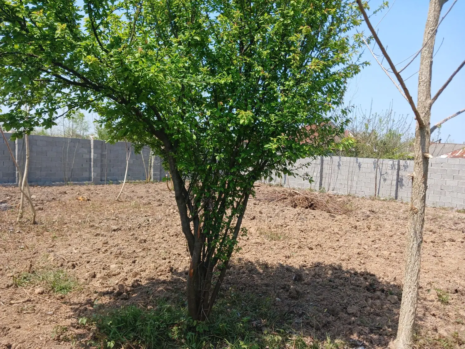 تصویر املاک 101360