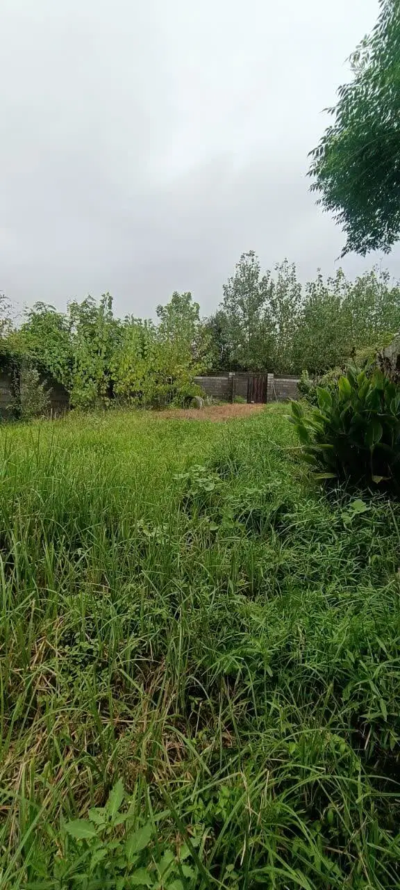 تصویر املاک 124458