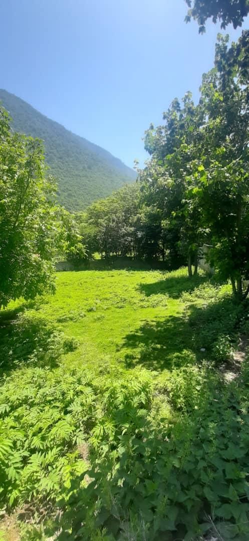 تصویر املاک 81693
