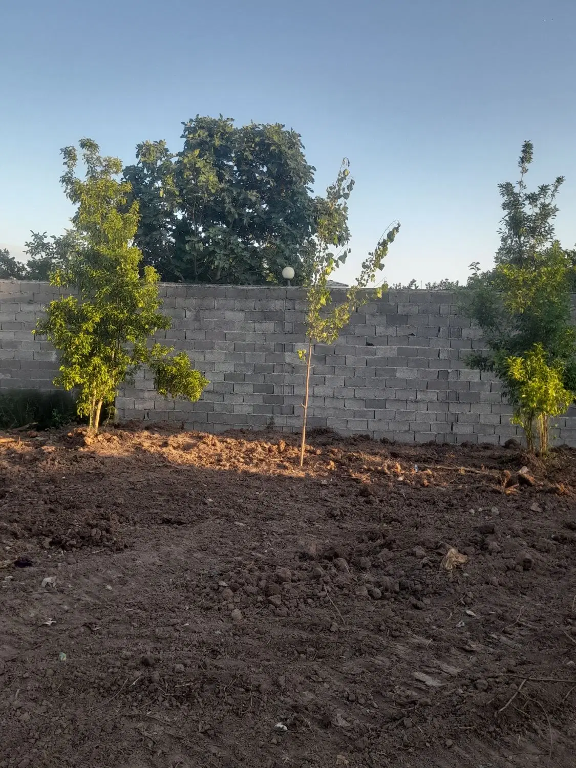 تصویر املاک 57515