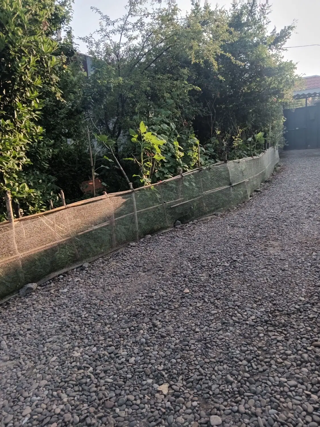 تصویر املاک 115141