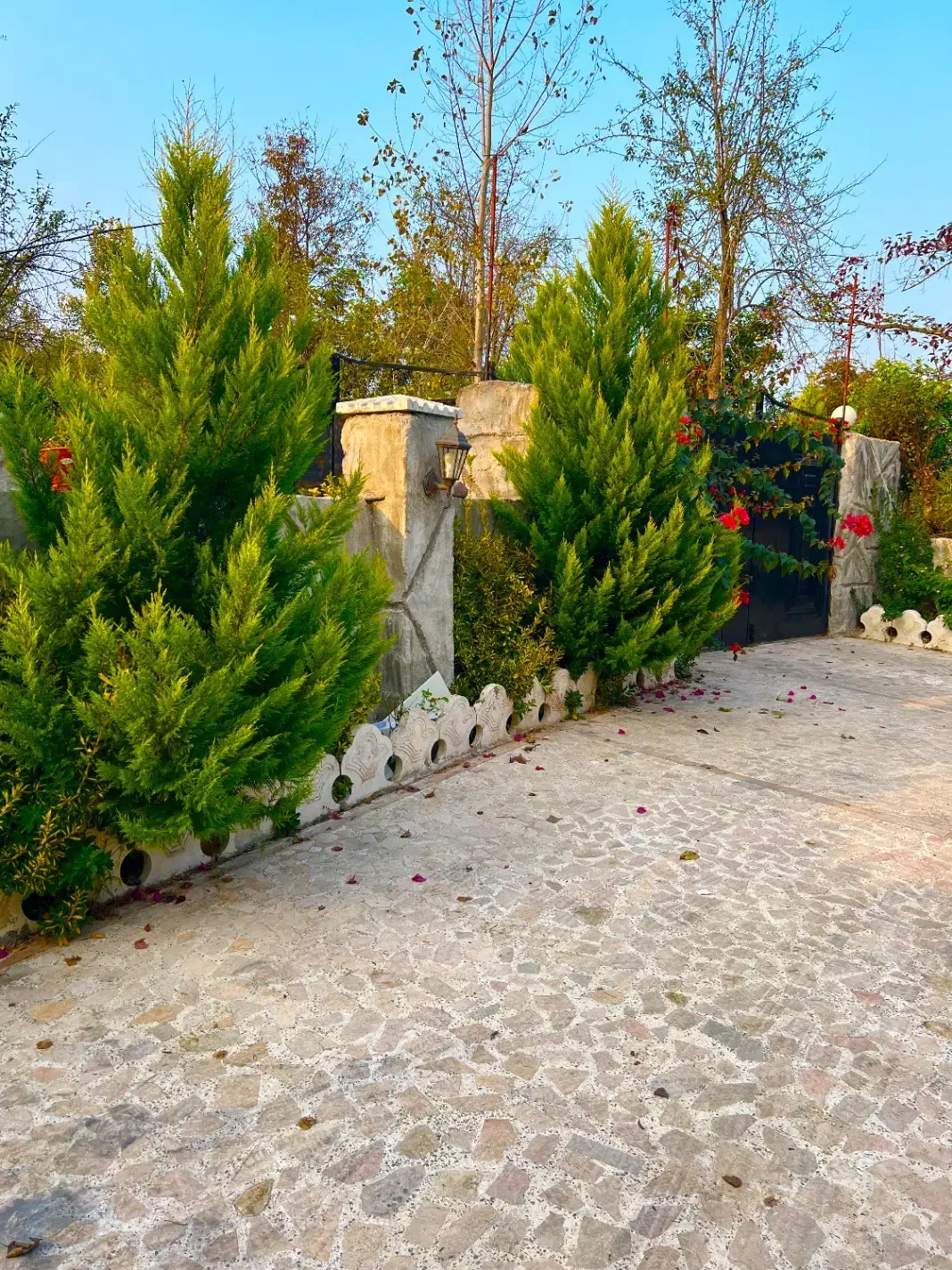 تصویر املاک 20624