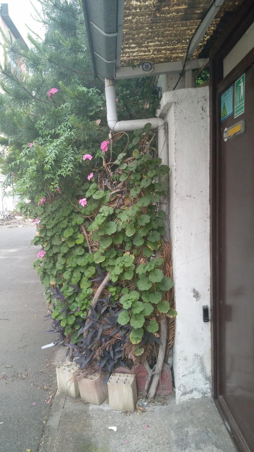 تصویر املاک 13134
