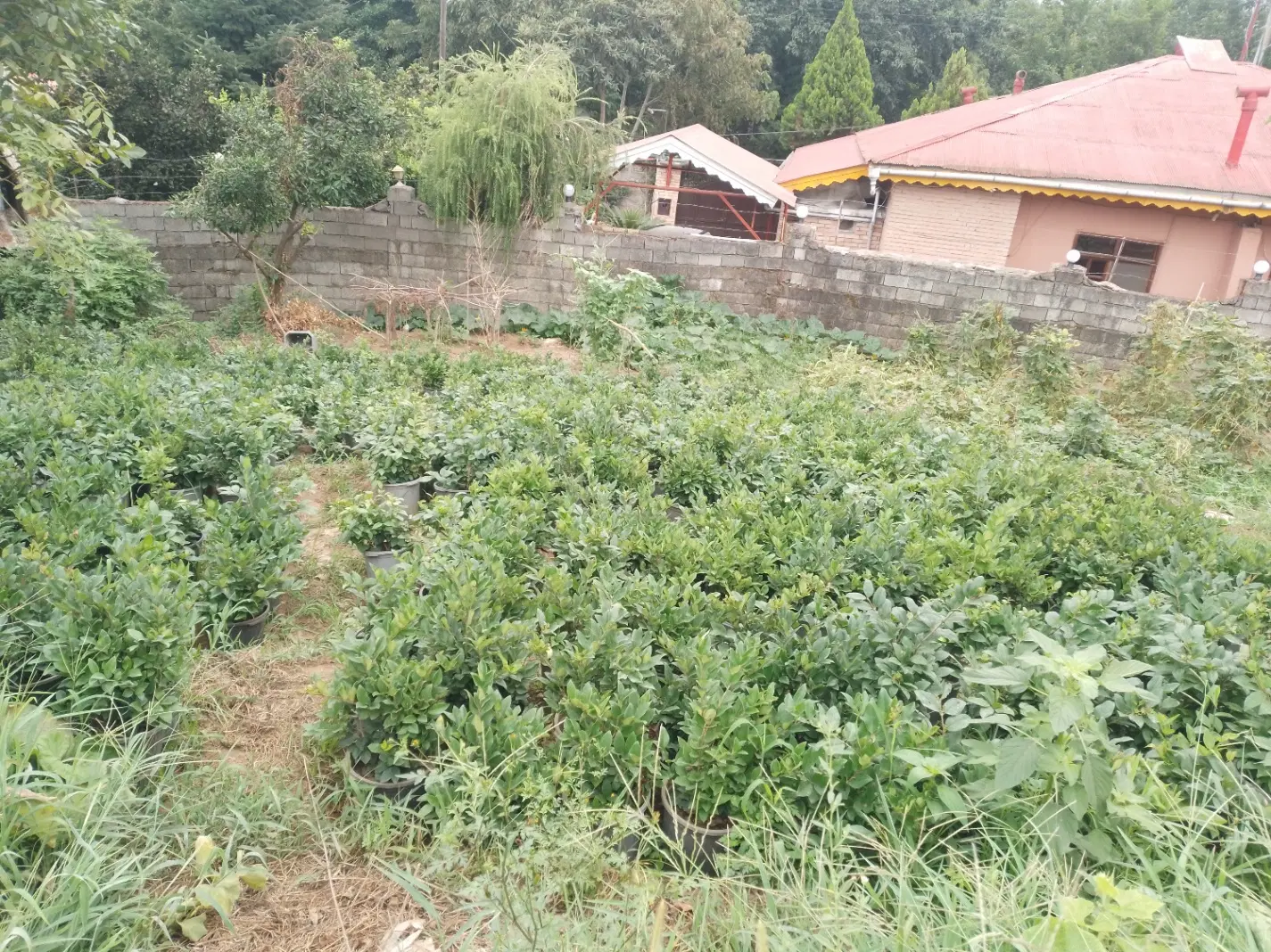 تصویر املاک 107637
