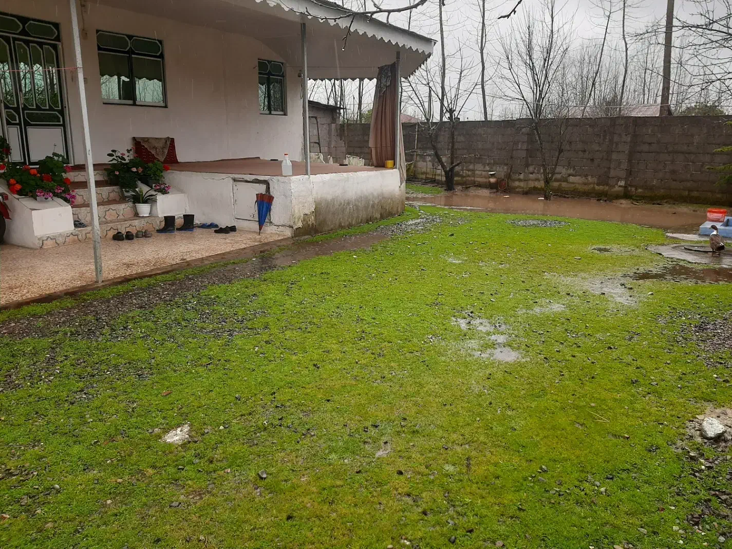 تصویر املاک 34711