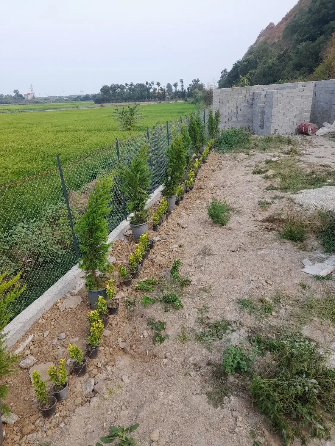 تصویر املاک 22941