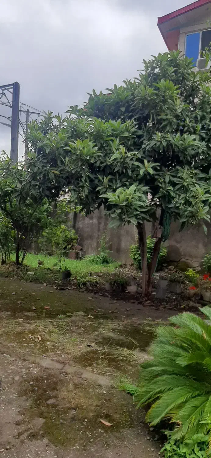 تصویر املاک 27195