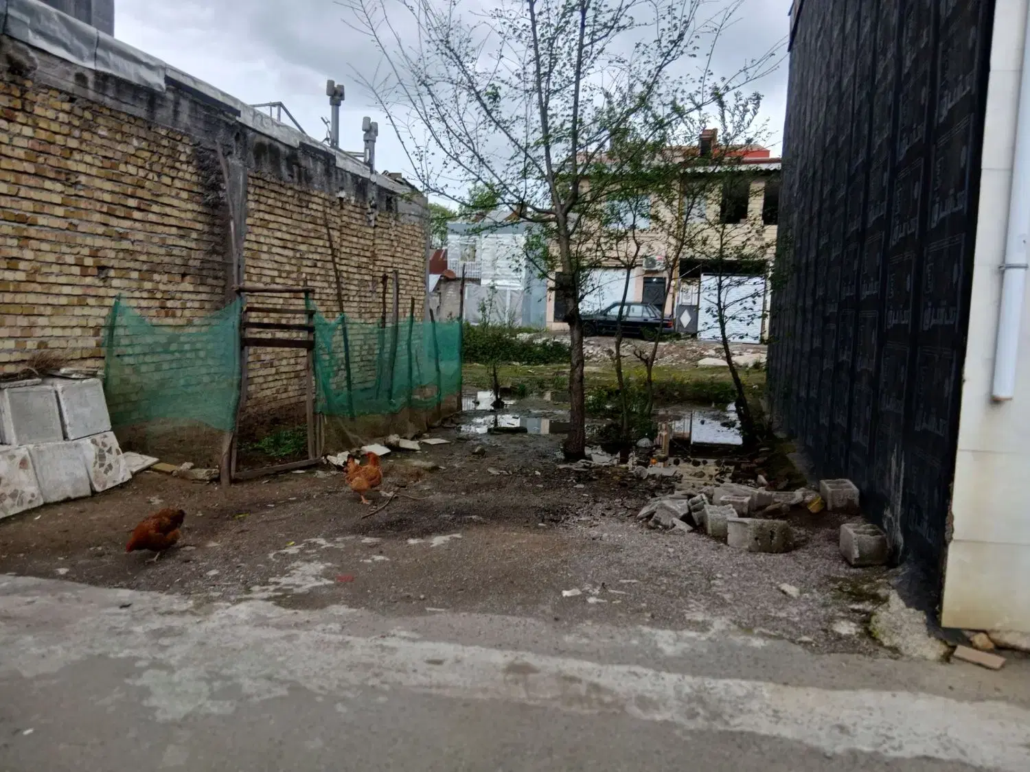 تصویر املاک 55883