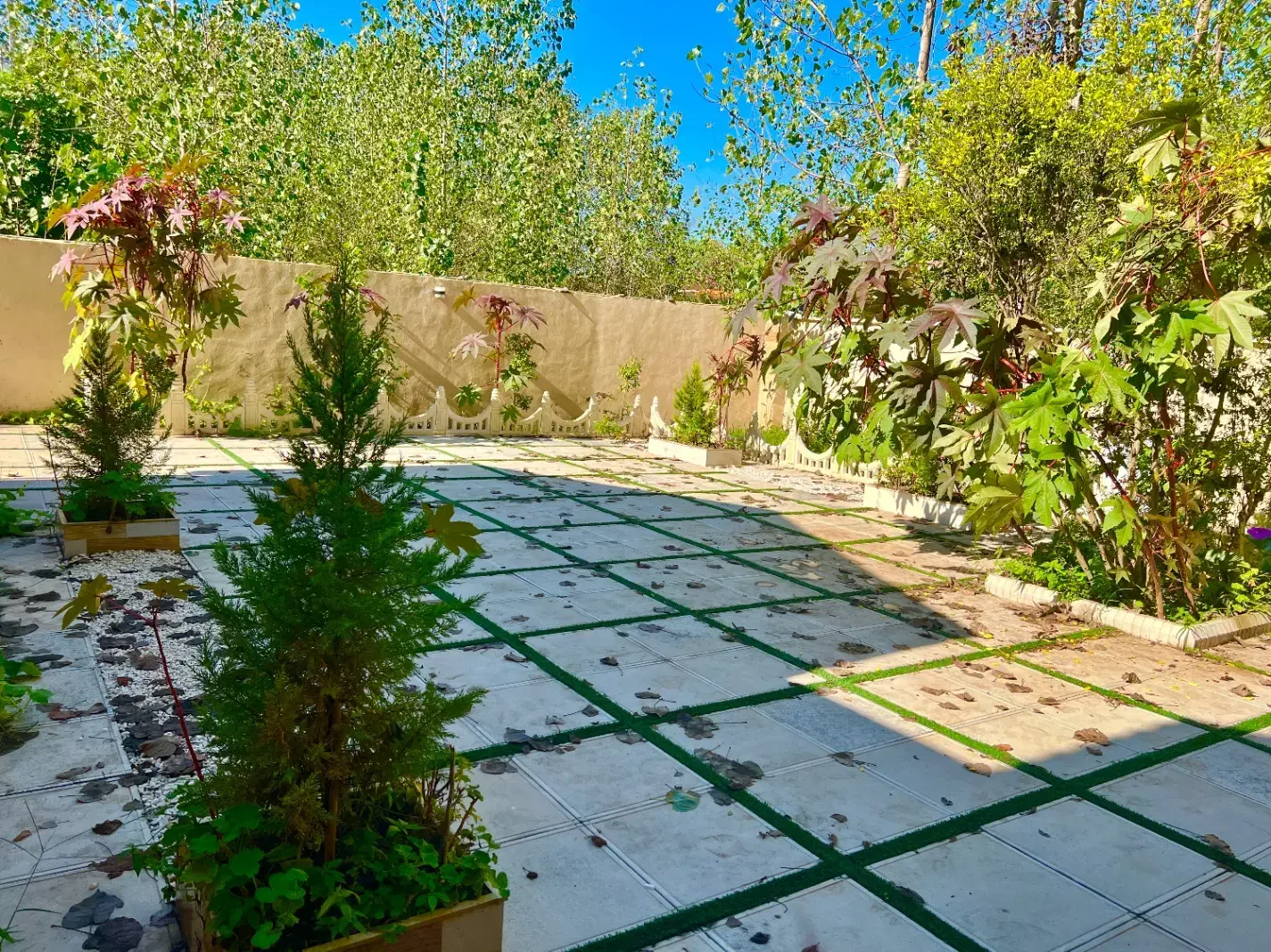 تصویر املاک 6200