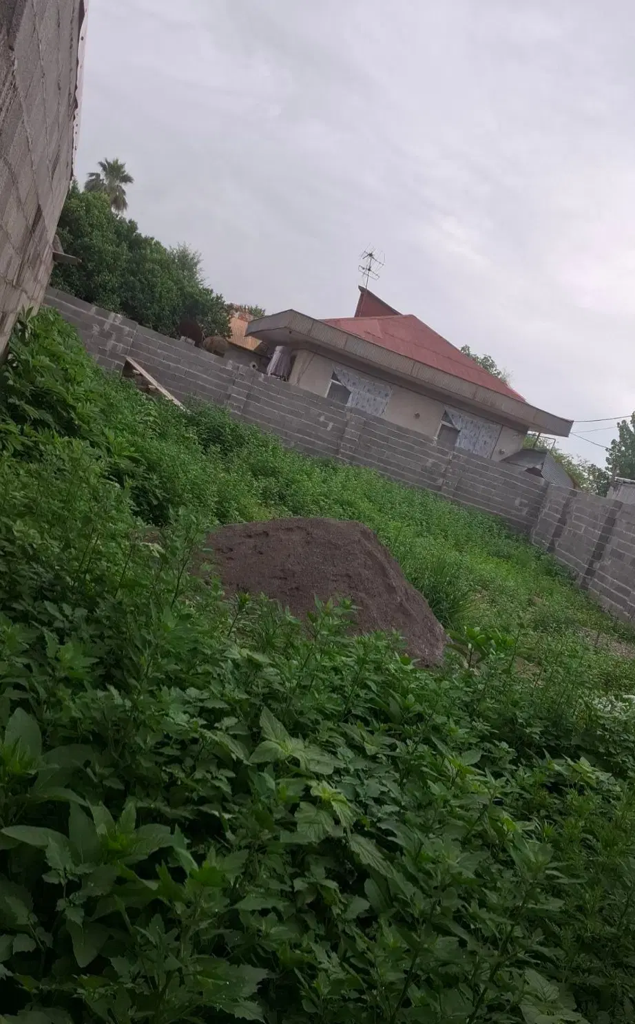 تصویر املاک 132748