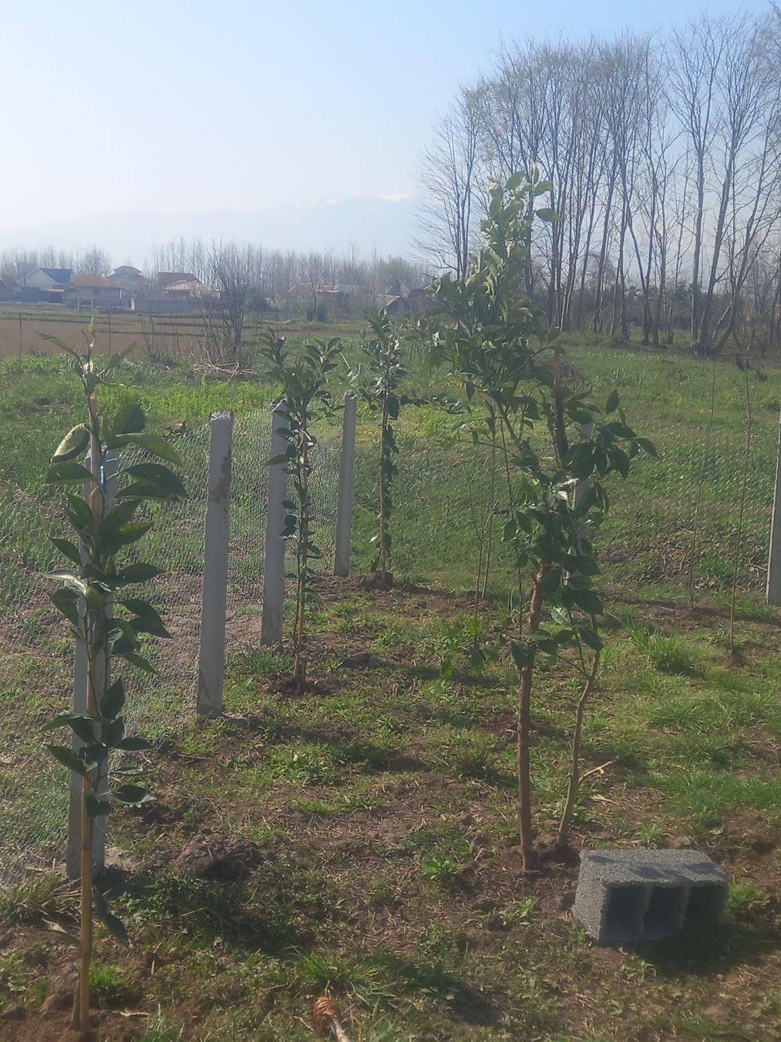 تصویر املاک 22658