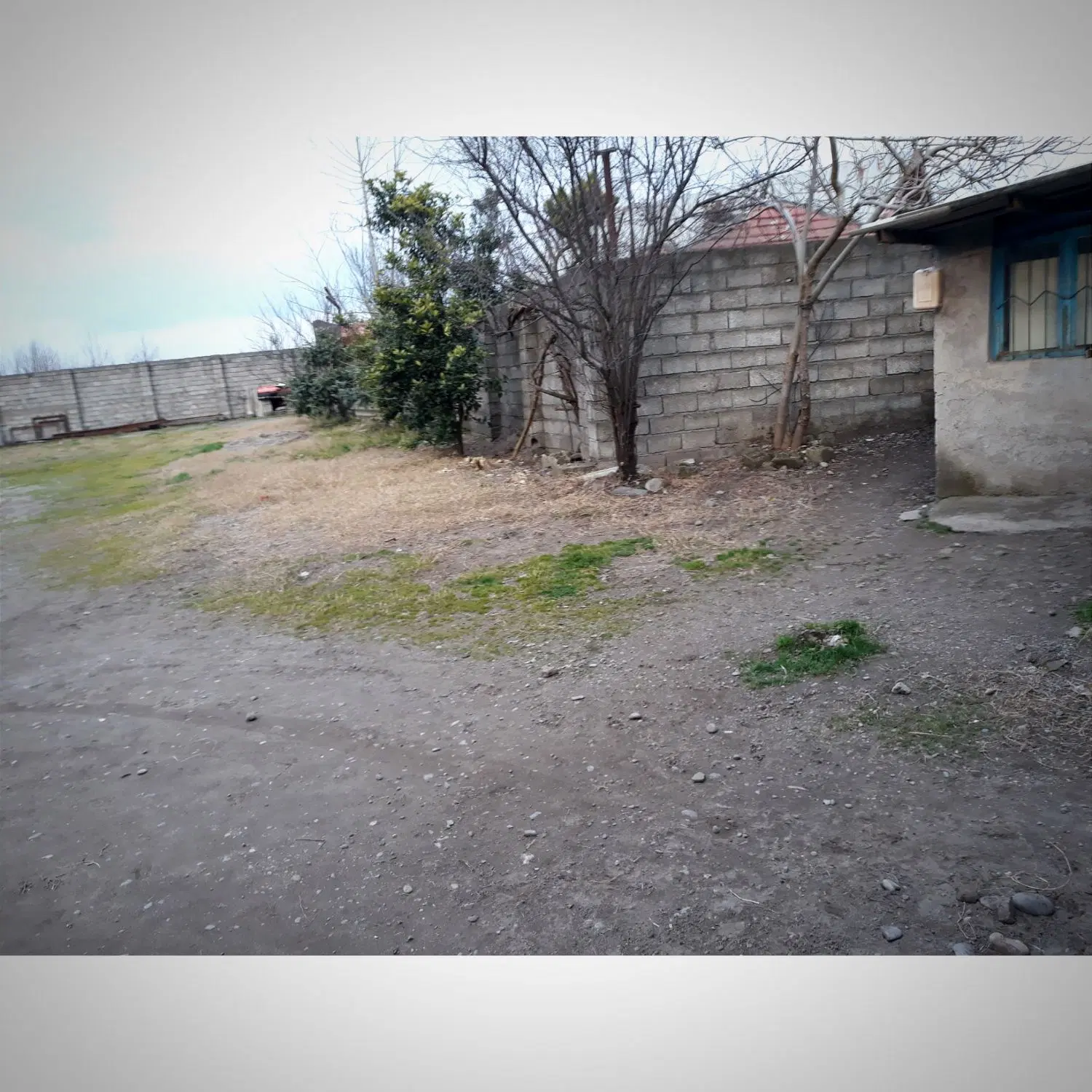 تصویر املاک 71133