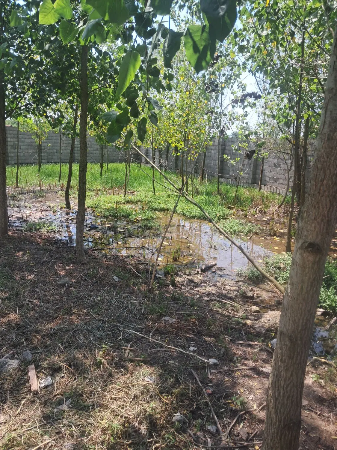 تصویر املاک 120401
