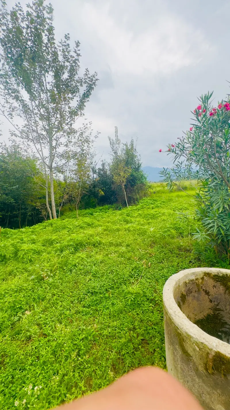 تصویر املاک 136356