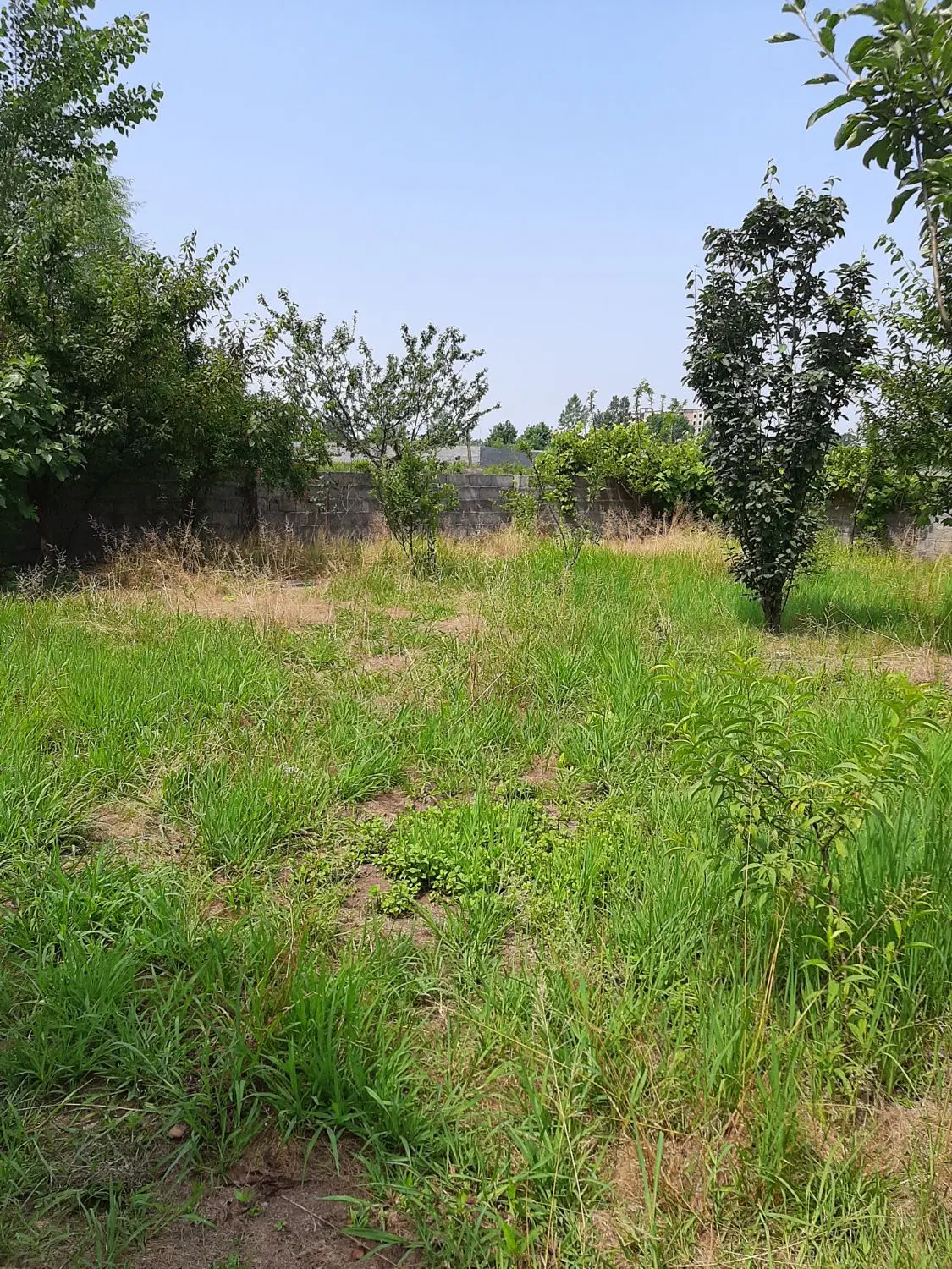 تصویر املاک 78621