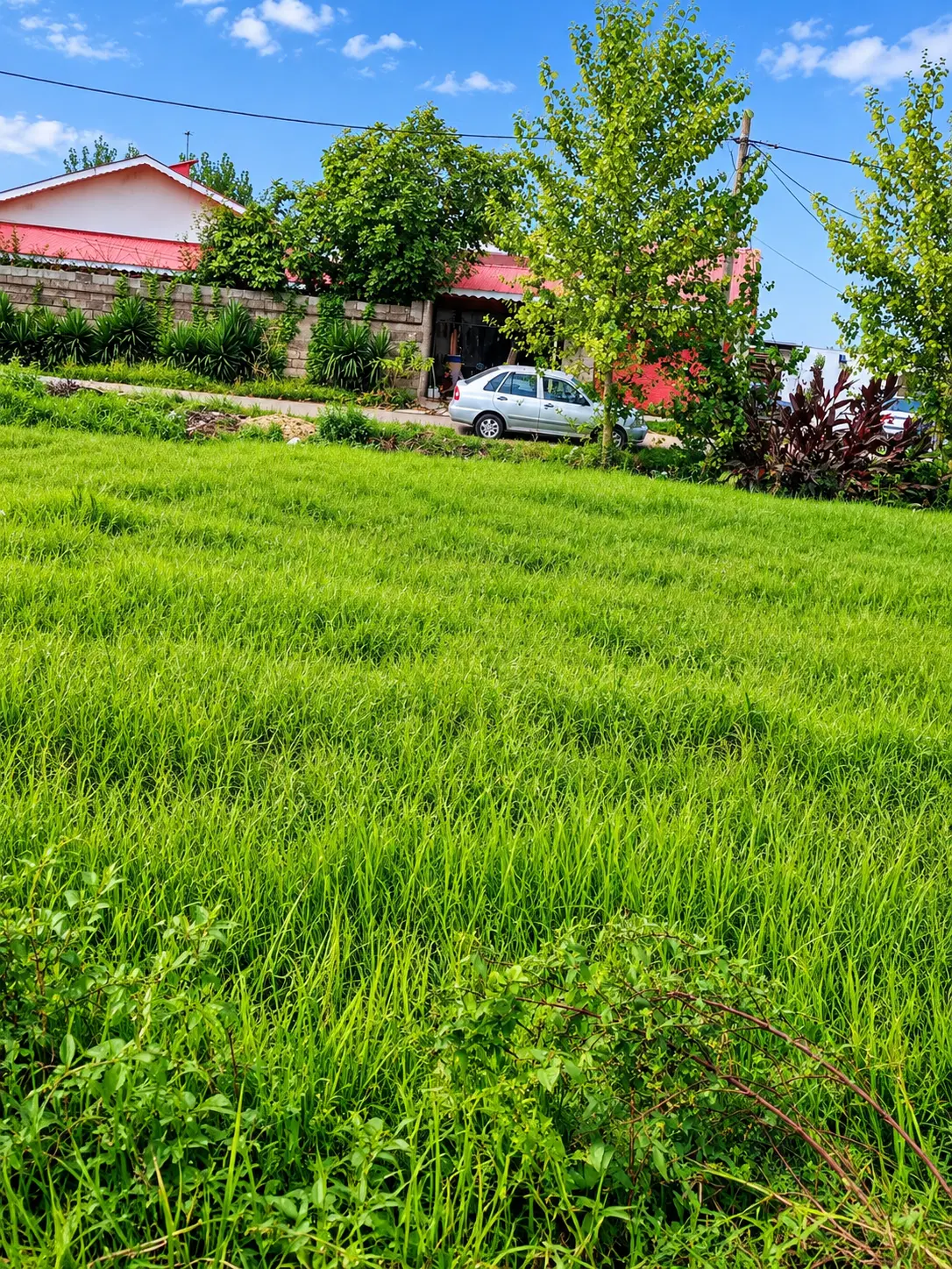 تصویر املاک 121496