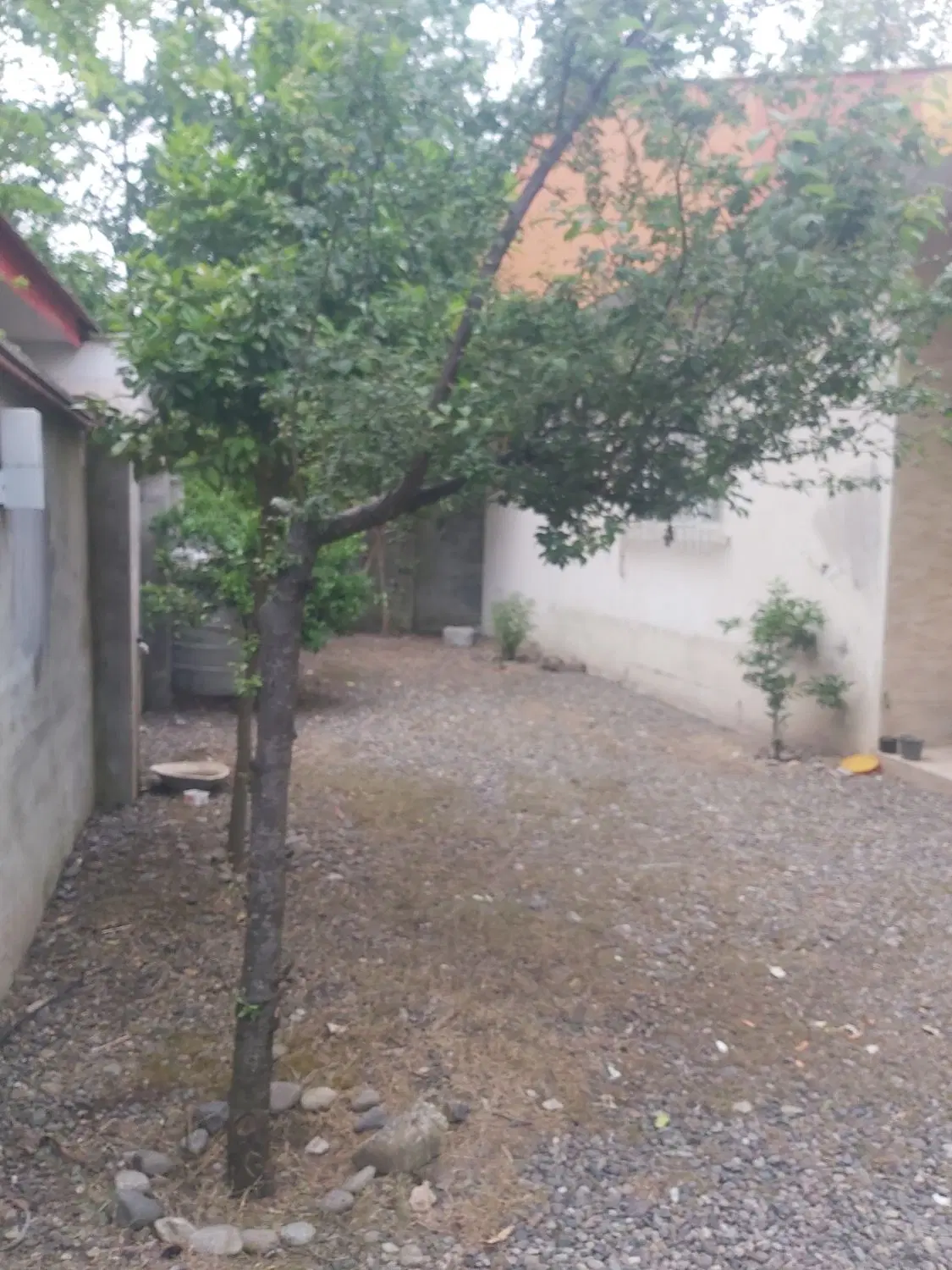 تصویر املاک 45133