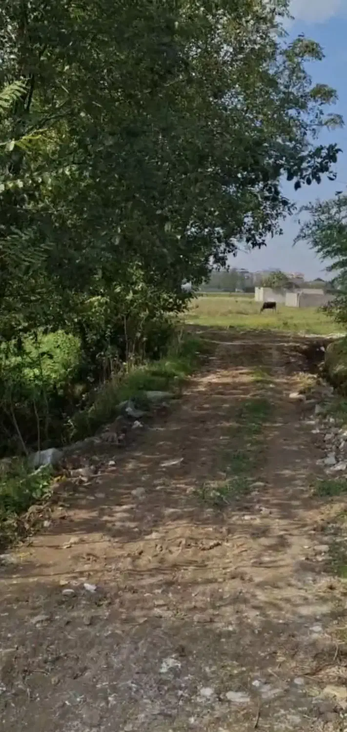 تصویر املاک 21188