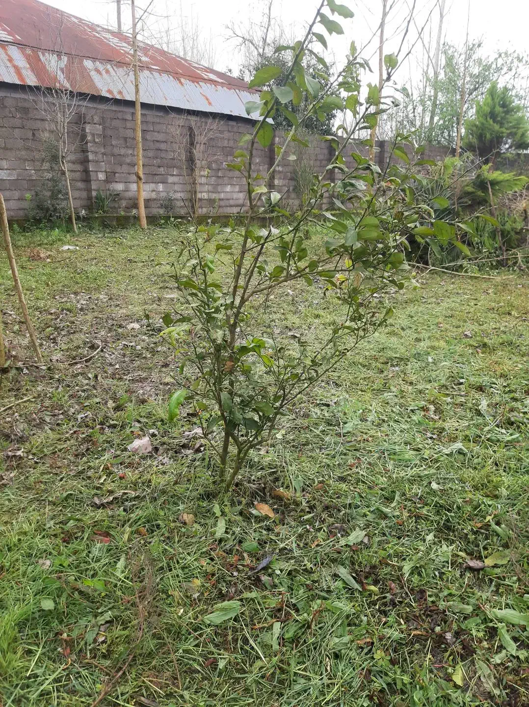 تصویر املاک 37799