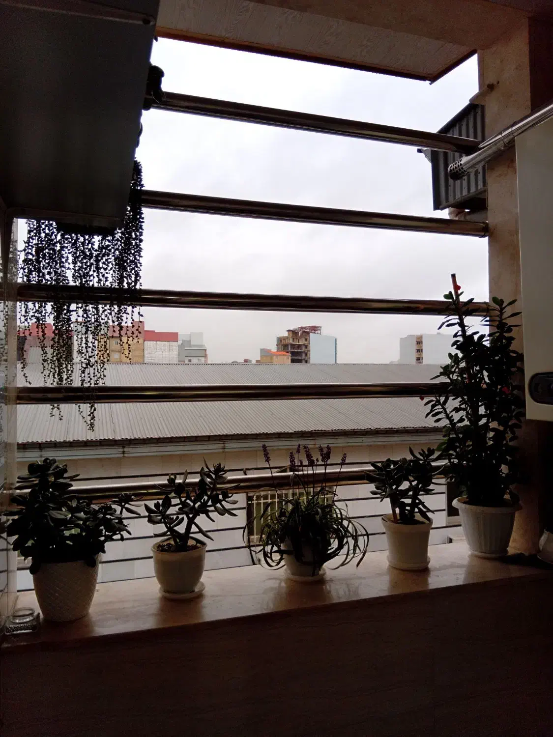 تصویر املاک 12387