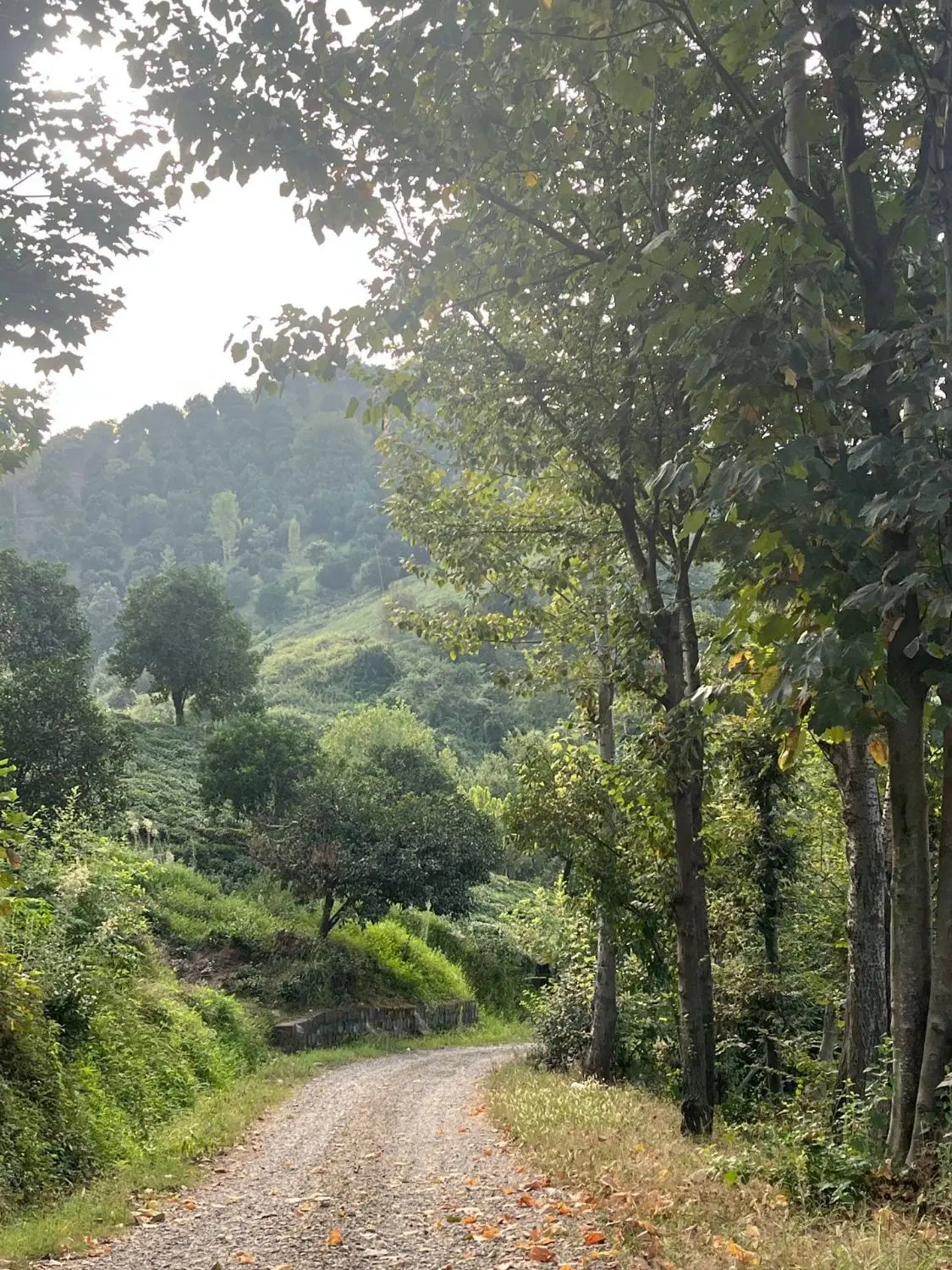 تصویر املاک 129030