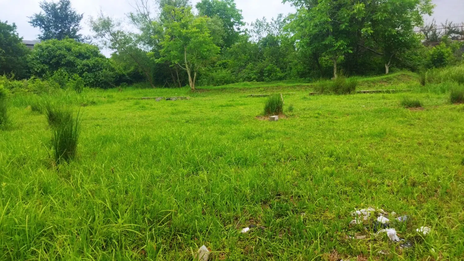 تصویر املاک 98148