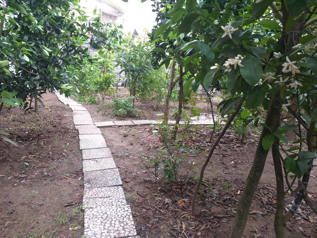 تصویر املاک 144570