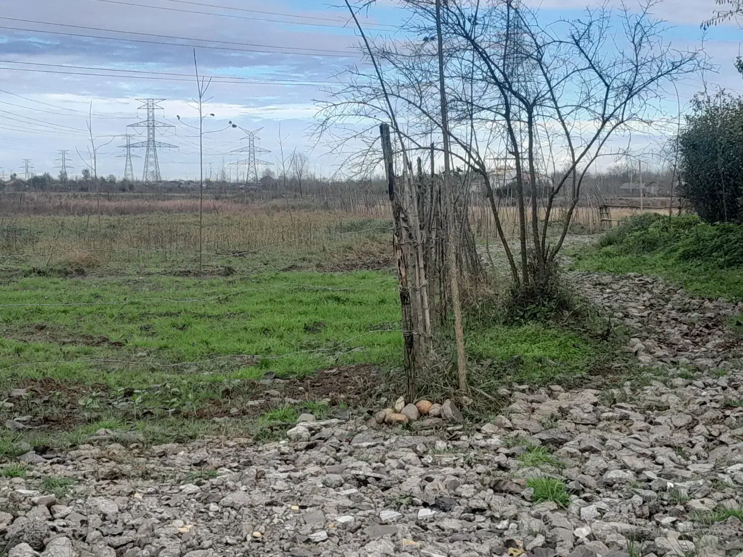 تصویر املاک 36724