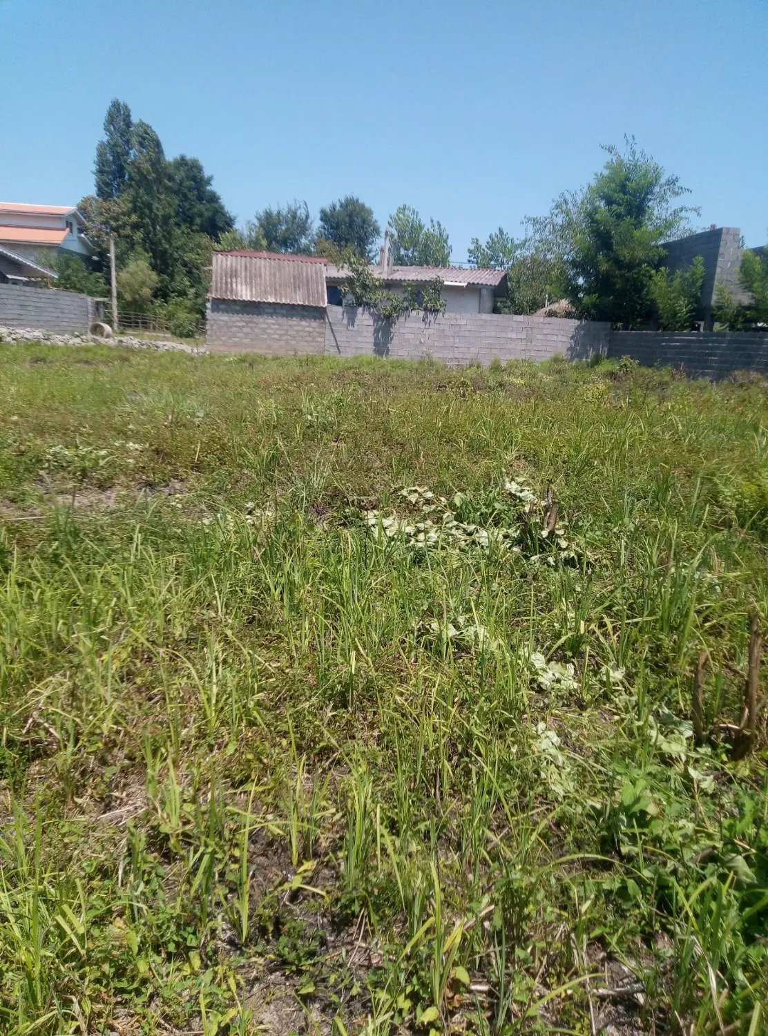 تصویر املاک 99982