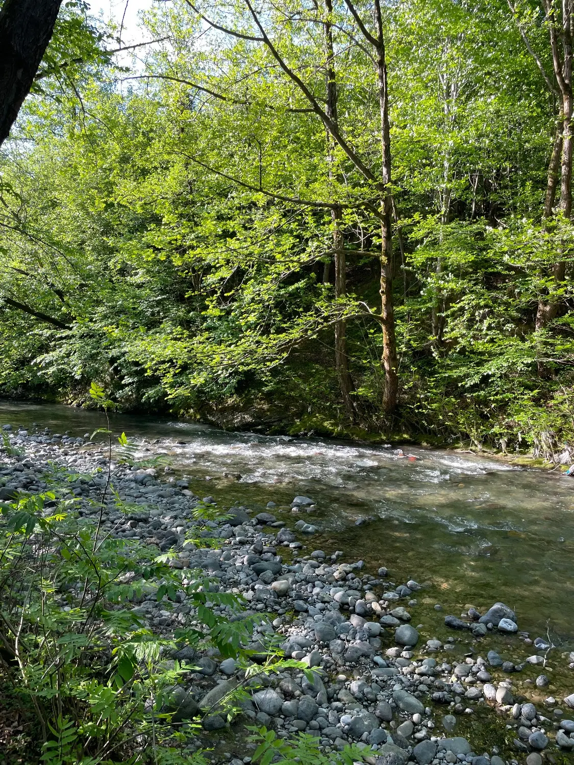 تصویر املاک 65082