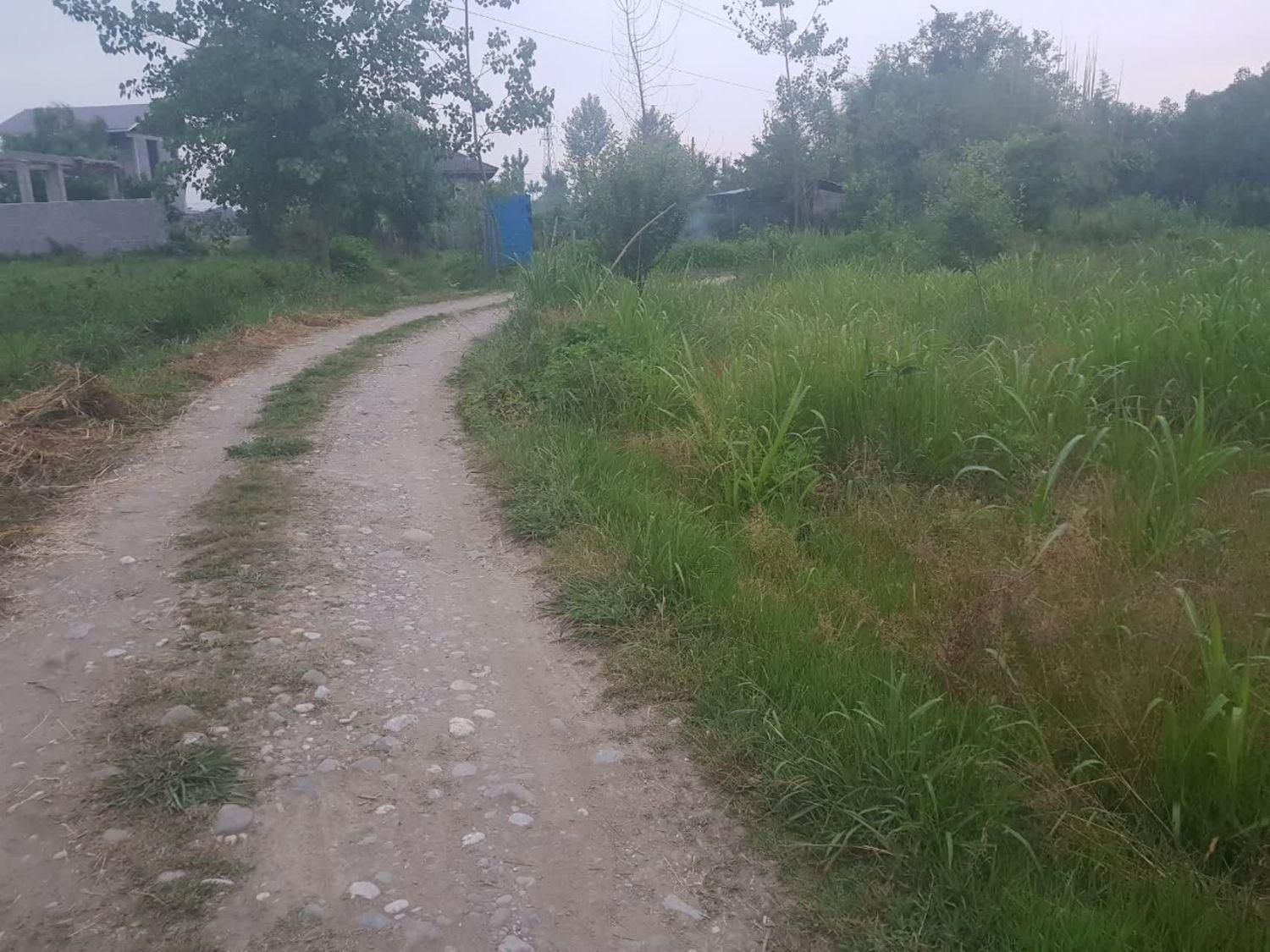 تصویر املاک 68829
