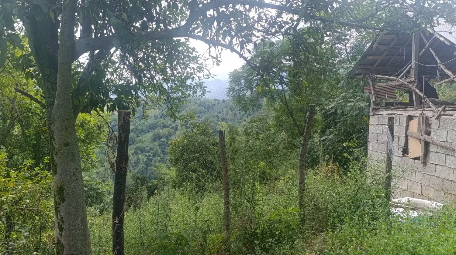 تصویر املاک 110384