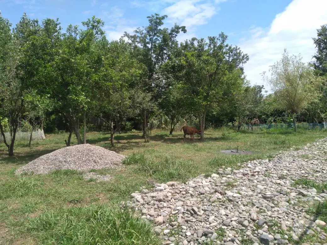 تصویر املاک 65310