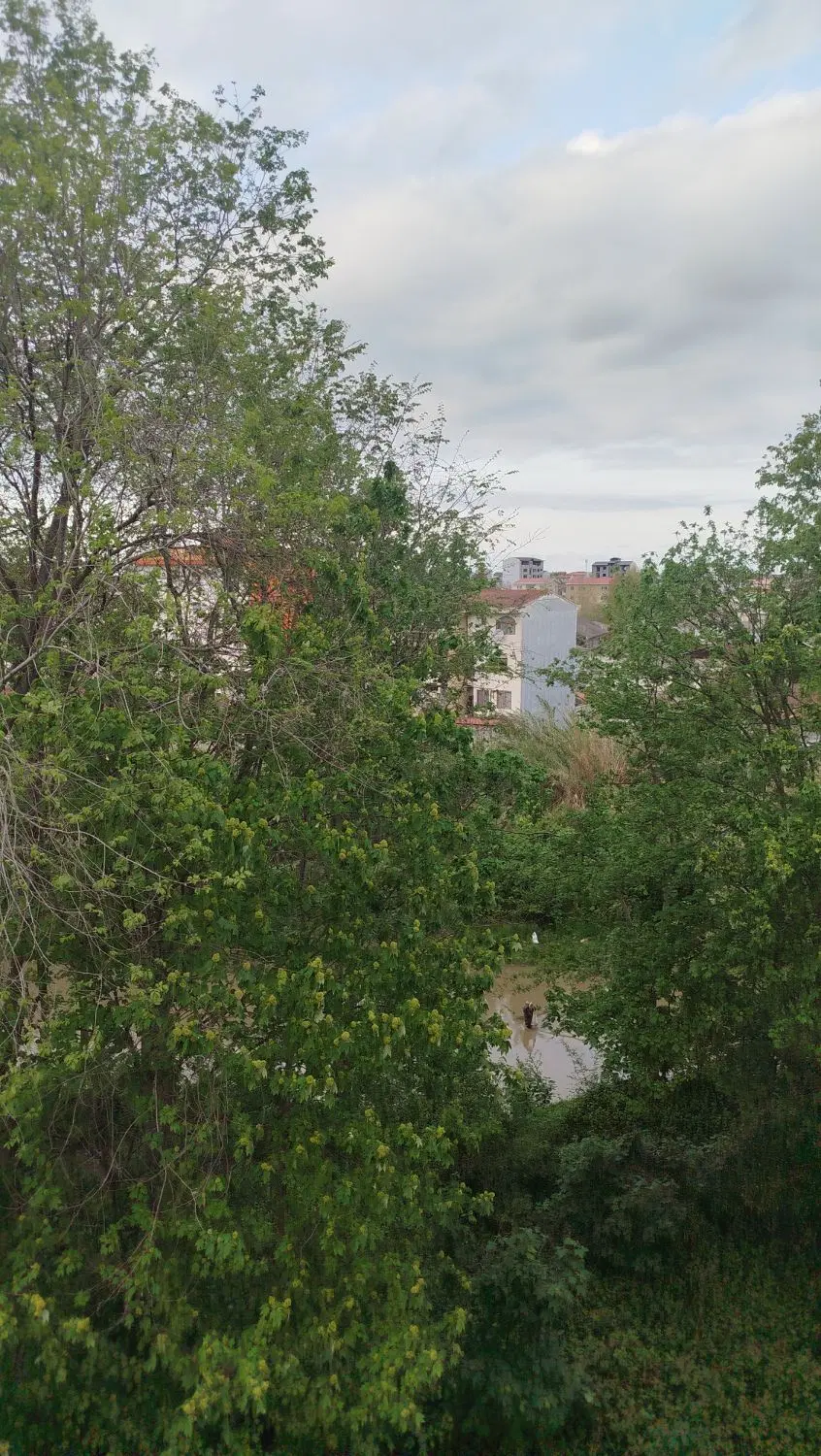 تصویر املاک 71086