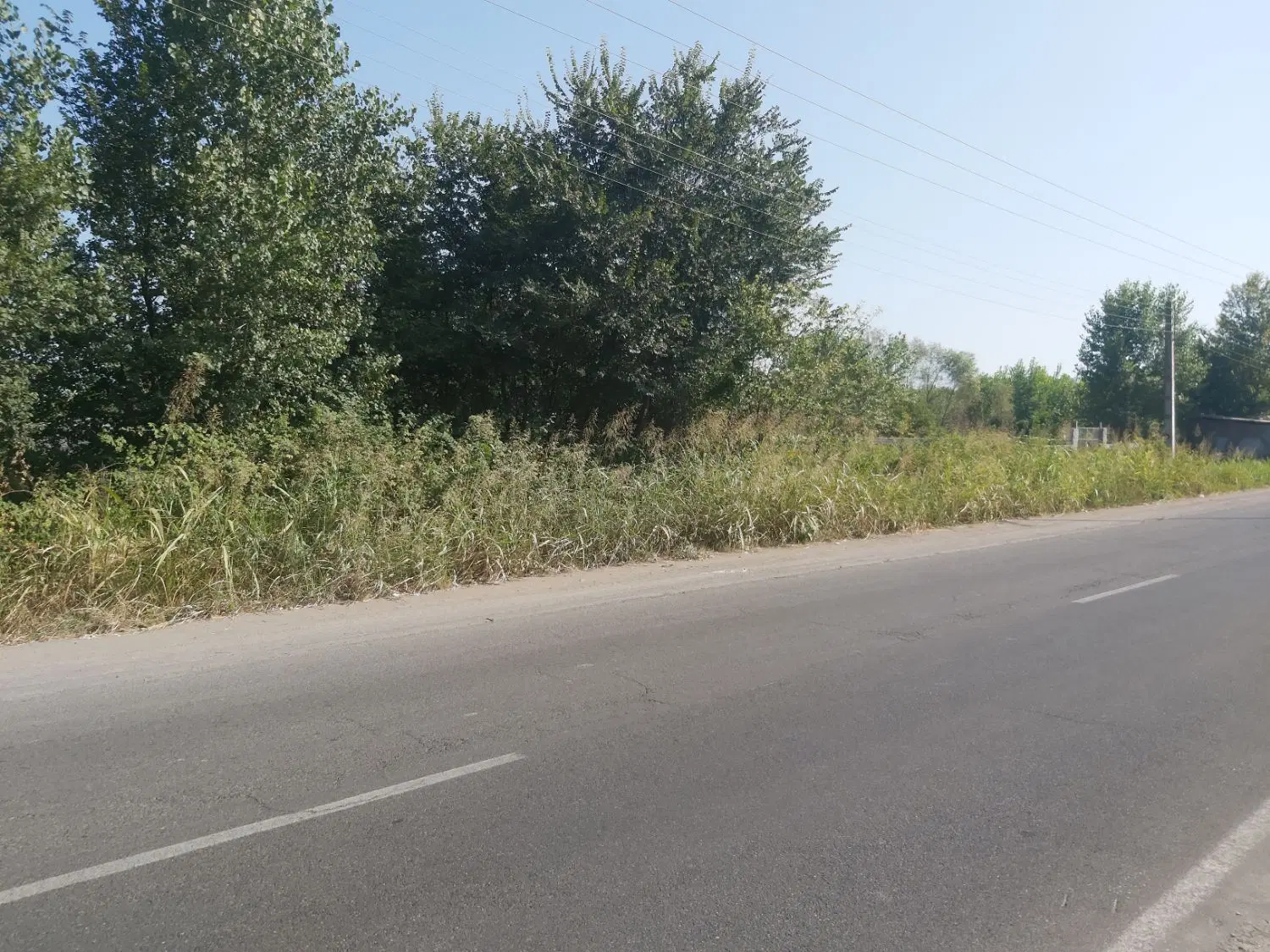 تصویر املاک 110561