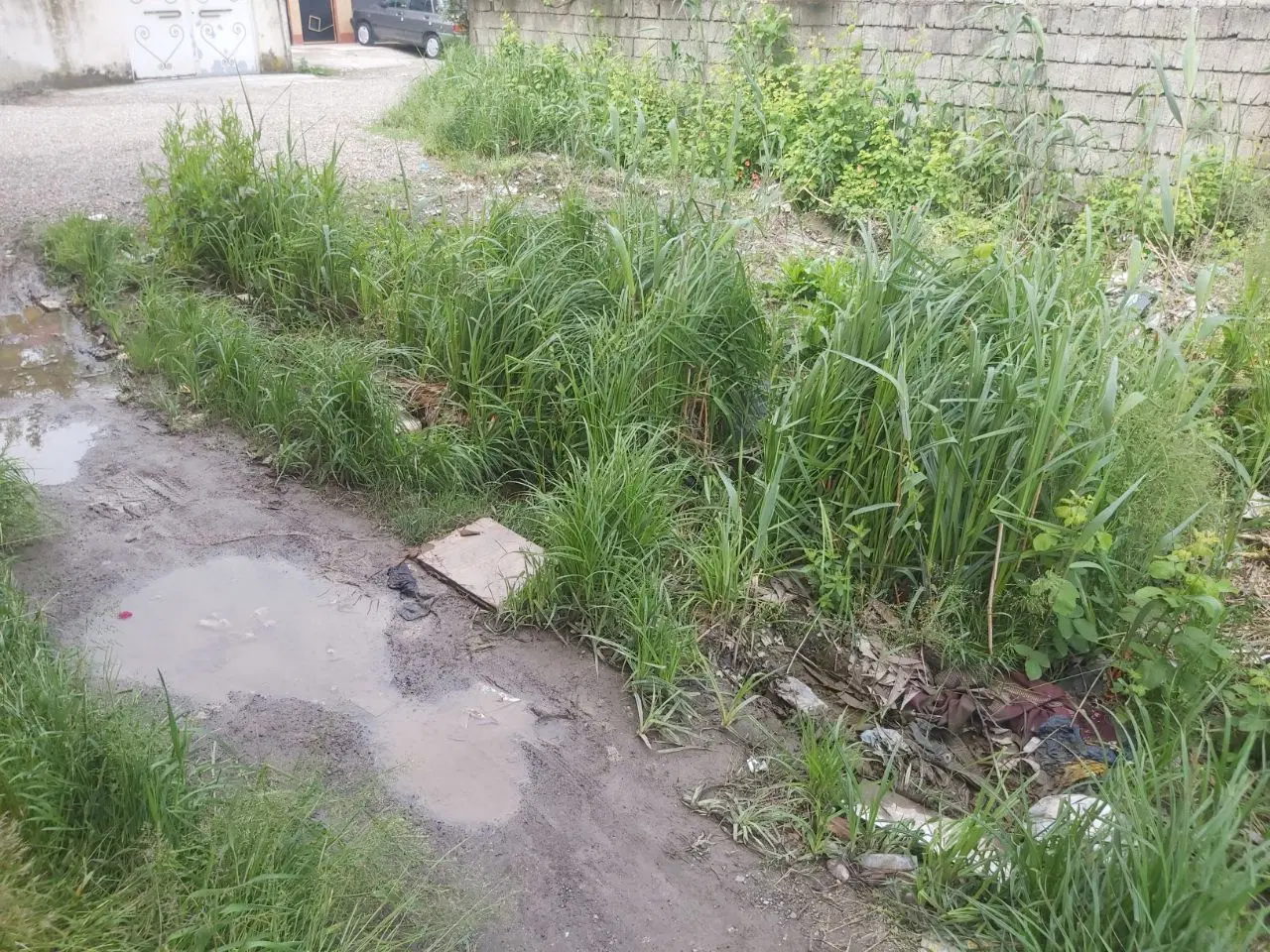 تصویر املاک 110688