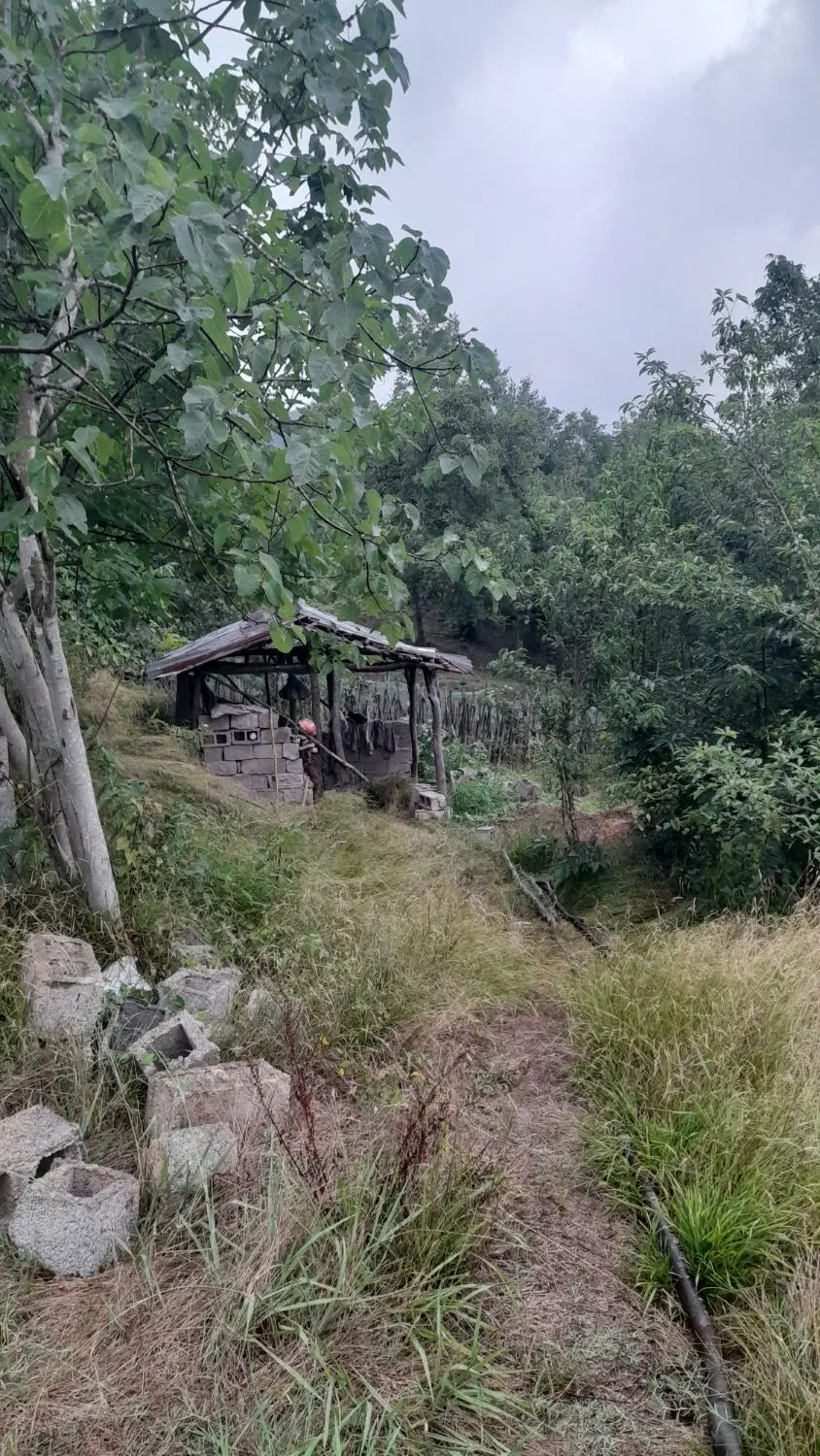 تصویر املاک 75536