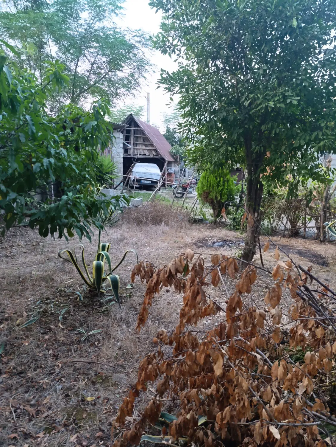 تصویر املاک 110376