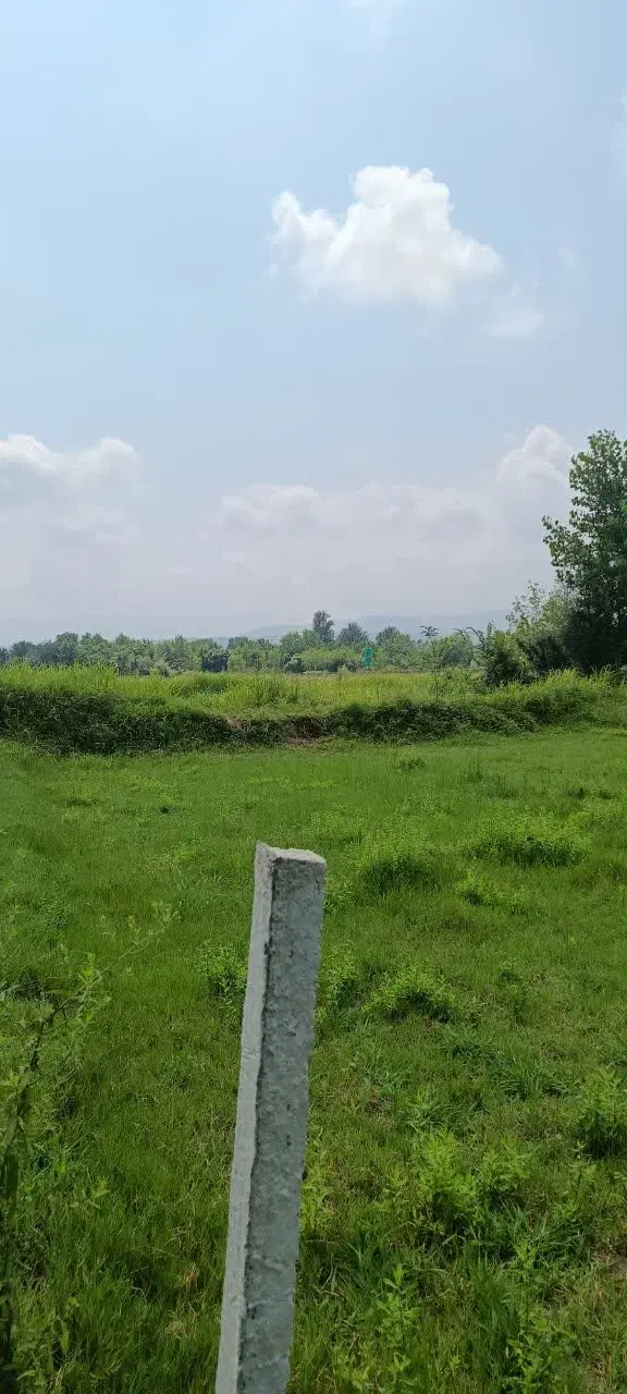 تصویر املاک 75274