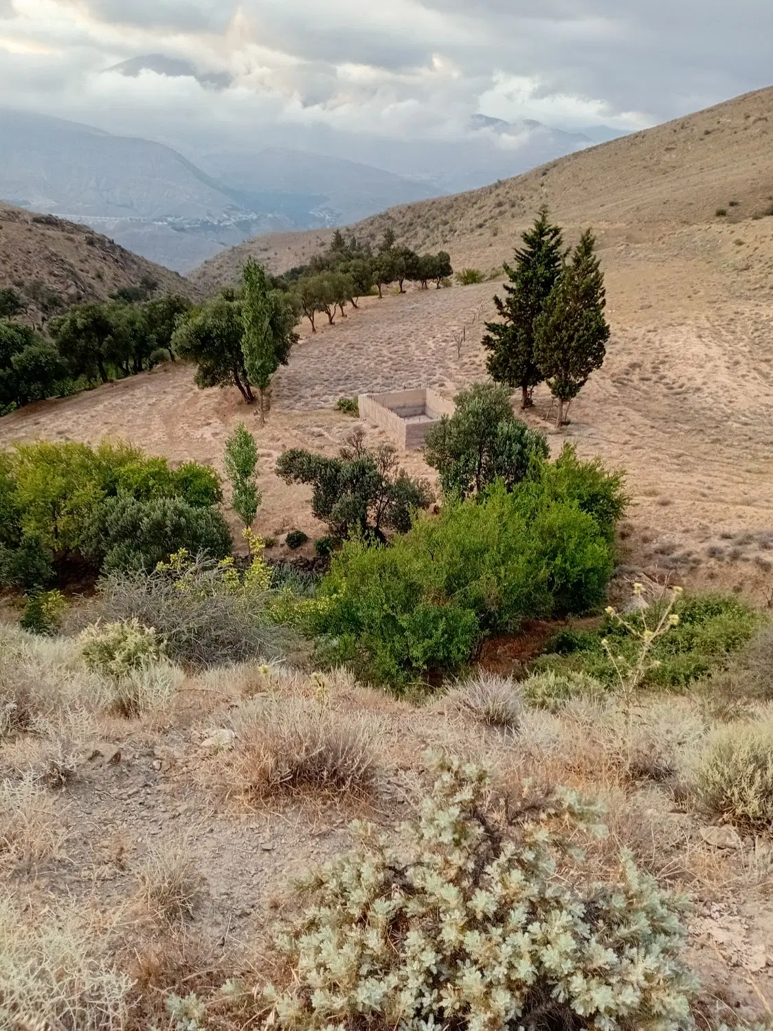 تصویر املاک 75422