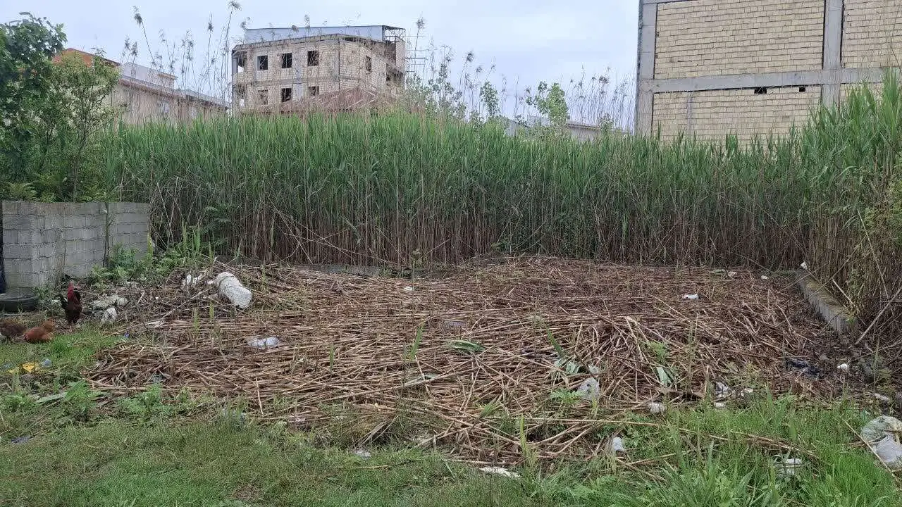 تصویر املاک 68617